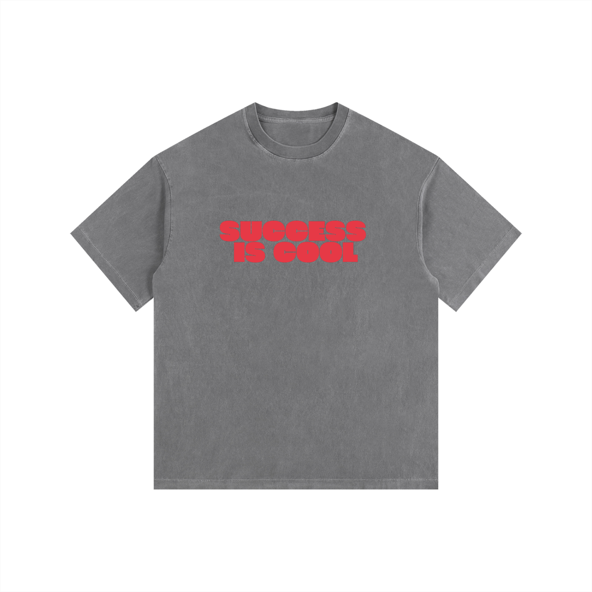 Success Is Cool Tee